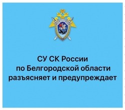 Следком обратил внимание родителей на необходимость усиленной профилактики детского травматизма