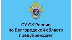 Следственный комитет напомнил о способах дистанционного мошенничества