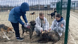 В Губкинском приюте для животных прошёл первый в этом году субботник
