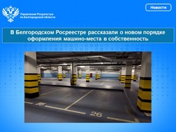 В Белгородском Росреестре рассказали о новом порядке оформления машино-места в собственность
