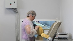 Линия по производству вафельных полуфабрикатов заработала в Губкине