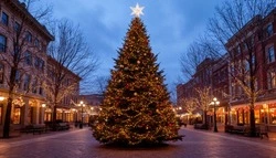 Губкинцы смогут принять участие во Всероссийском конкурсе  «Ёлки России»