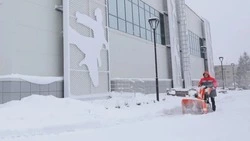 Спортивный комплекс «Лебединский» получил подарки от Лебединского ГОКа