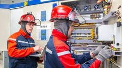 «Белгородэнерго» обеспечило электроснабжение завода по производству кормов для домашних животных