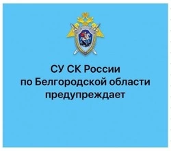 Следственный комитет напомнил о способах дистанционного мошенничества