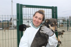 Губкинский приют для безнадзорных животных посетили общественные инспекторы из Белгорода