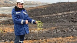 Лебединский ГОК станет ещё зеленее