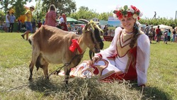 Фестиваль «Ямская карусель» пройдёт в Губкине