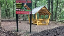 Зоны отдыха обустроили на территории Губкинского лесничества