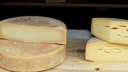Сыр белгородского производителя получил высокую оценку на фестивале «Сыр. Пир. Мир»