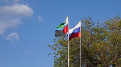 Вячеслав Гладков сообщил о направлении 2, 8 млрд рублей на программу соцконтрактов за четыре года