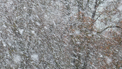 Синоптики спрогнозировали на 25 декабря снегопад и дождь в Белгородской области
