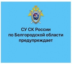 Следственный комитет напомнил как не стать жертвой мошенников