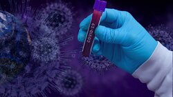 Новый штамм коронавируса «омикрон» подтвердился у двух россиян