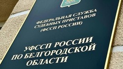 Голосовой помощник «Полина» на сайте ФССП России поможет узнать всё о долгах