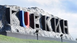 Новый резидент ТОР «Губкин» организует производство в городе