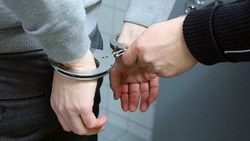 Полицейские задержали квартирного вора в Губкине