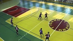 Первенство Белгородской области по мини-футболу пройдёт в Губкине