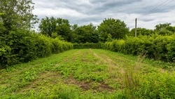 Белгородский Росреестр напоминает о признаках неиспользования земельных участков