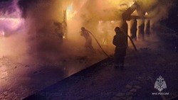 С начала января белгородские пожарные и спасатели более 800 раз выезжали по тревоге