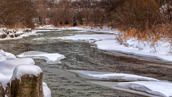 Уровень воды в белгородских реках поднялся до 17 см