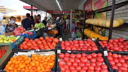 Точки продаж продуктов по низким ценам «Покупай Белгородское» появятся в регионе