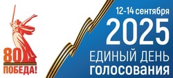Первый финансовый отчёт кандидата Елены Емельяновой