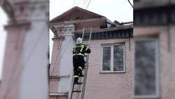Чудесное спасение застрявшего на чердаке кота произошло в Борисовке