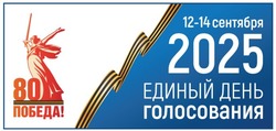 Первый финансовый отчёт кандидата Елены Гориной