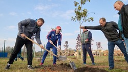 Осеннюю экоакцию провели белгородские энергетики в корочанском парке «Молодежный» 