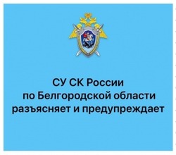 Следственный комитет напомнил о способах дистанционного мошенничества