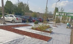 Проект «Губкин – город сад» продолжается в Губкине