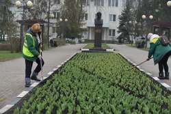 Жители Губкина скоро будут любоваться яркими клумбами с тюльпанами