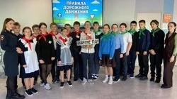 Конкурс отрядов юных инспекторов движения «Твой выбор – ЮИД» прошёл в Губкинской школе