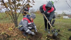 На Лебединском ГОКе появилась аллея волонтёров