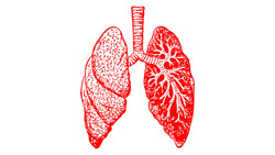 Губкинцы смогут проверить состояние желудка и лёгких