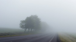 Сильный туман опустится на Белгородскую область в конце недели