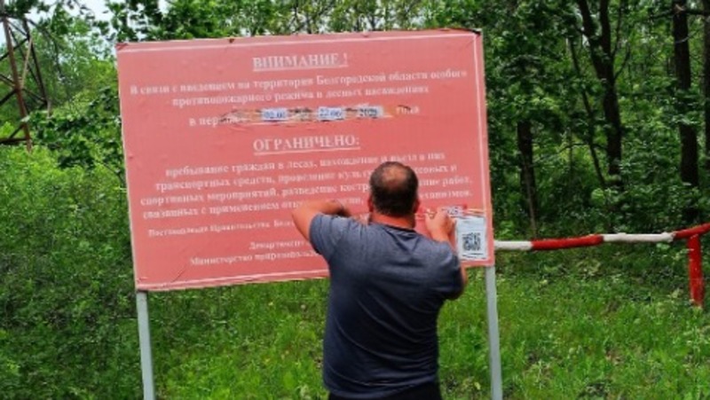 Ограничения пребывания граждан в лесах вводятся в Белгородской области