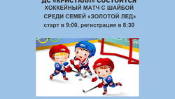 Хоккейный матч с шайбой среди семей «Золотой лёд»