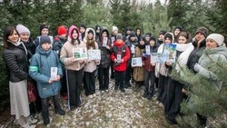 Губкинские школьники приняли участие в экологическом практикуме «Ёлочкин ЭКО-пост»
