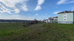 Петровский парк. Каким будет новое место отдыха в Губкине — решают жители