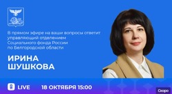 Управляющая отделением Социального фонда ответит на вопросы белгородцев в прямом эфире