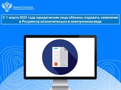Юридические лица обязаны подавать заявления в Росреестр исключительно в электронном виде с 1 марта 