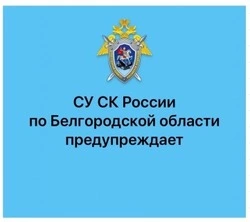Следком призывал детей и их родителей не забывать о мерах безопасности в сети Интернет
