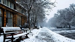 Счета эскроу помогают белгородцам купить жилье без рисков