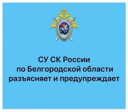Следственный комитет напомнил о способах дистанционного мошенничества