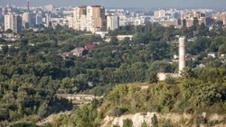 Телеграм-канал «Старше Эдды» дал оценку взаимодействию белгородских властей и Минобороны РФ 