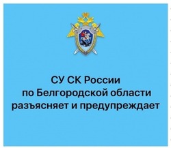 Следком предупредил об ответственности за оплату покупок найденной банковской картой