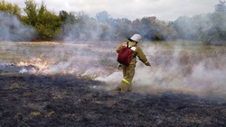 28 ландшафтных пожаров произошло в Белгородской области за сутки