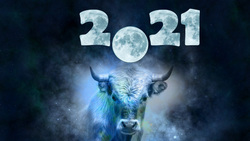 Гороскоп для знаков зодиака на 2021 год